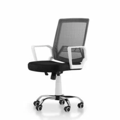 Gary Cushioned Mesh Office Chair White - miBasics -Office Chairs Sales Shop unnamed file 1335
