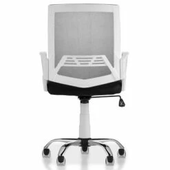 Gary Cushioned Mesh Office Chair White - miBasics -Office Chairs Sales Shop unnamed file 1336