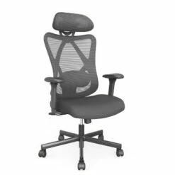 Tandera Mesh Ergonomic Swivel Office Chair - miBasics Black -Office Chairs Sales Shop unnamed file 1699