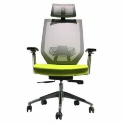 Adjustable Headrest Ergonomic Office Swivel Chair with Padded Seat and Casters Green/Gray - The Urban Port