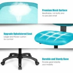 Costway Mesh Office Chair Low-Back Armless Computer Desk Chair Adjustable Height BluePinkPurple -Office Chairs Sales Shop unnamed file 4078