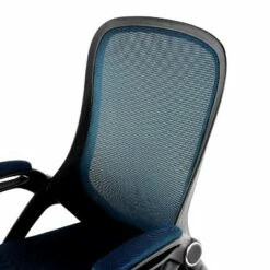 Stephanie Office Chair Blue - Edgemod 19 Stephanie Office Chair Blue - Edgemod -Office Chairs Sales Shop unnamed file 8960