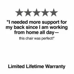 Staples Workplace Series 500 Vinyl & Mesh Task Chair Black Adj Lumbar 2D Arms 2846129 -Office Chairs Sales Shop unnamed file 9082